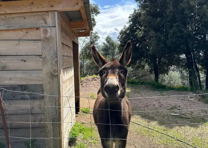 N2 Maison T2 Climatise 公寓