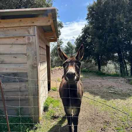 N2 Maison T2 Climatise Apartment